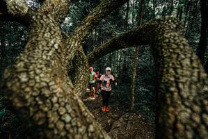 BIB: 
                            <button type="button" onclick="openModal(25701785)" class="btn btn-primary btn-sm float-right btn-popup" data-toggle="modal" data-target=".modal-high-quality">
                        <i class="fas fa-shopping-cart"></i> Add to Cart
                    </button>
                                            <button type="button" onclick="isThisMe(25701785, true)" class="btn btn-success btn-sm float-right btn-popup btn-isme hidden" data-toggle="tooltip" data-placement="bottom" title="นี่คือรูปของคุณใช่ไหม คลิกที่นี่เพื่อเอาเข้าอัลบั้ม">
                        <i class="fas fa-plus"></i> Add to album
                    </button>
                    <button type="button" onclick="isThisMe(25701785, false)" class="btn btn-warning btn-sm float-right btn-popup btn-isnotme hidden">
                        <i class="fas fa-ban"></i> Remove from album
                    </button>